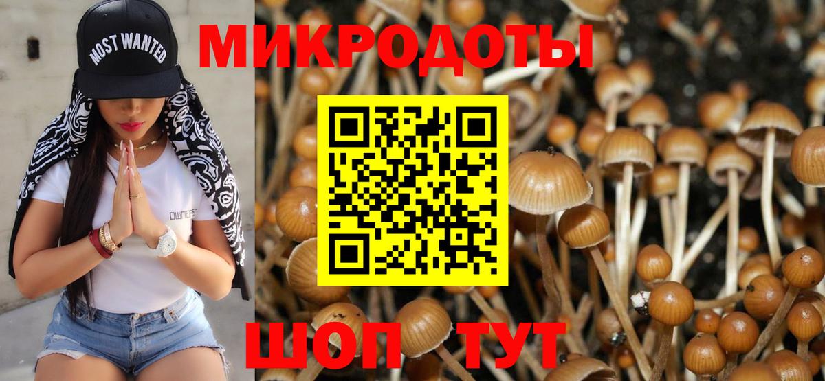 Псилоцибиновые грибы прущие грибы Арзамас