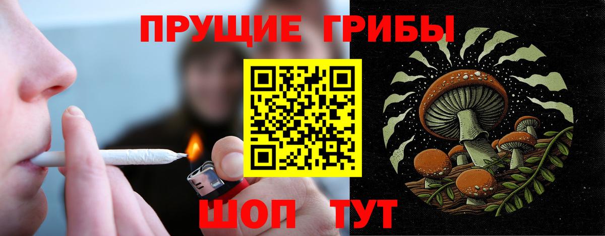 Арзамас  Псилоцибиновые грибы мицелий  Вход с VPN 